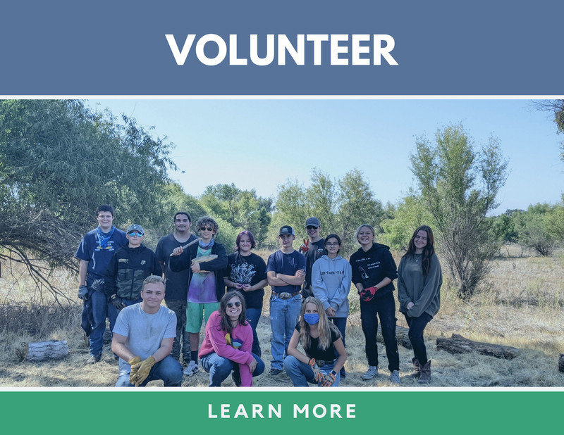 There are many opportunities to volunteer at STEM Programs. We seek retired teachers, science professionals, outdoor enthusiasts and students that enjoy working with school age children. 