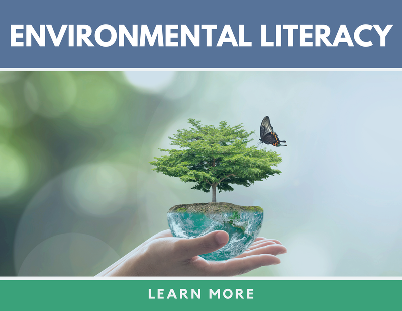 The goal of the environmental literacy networks in Region 6 is to connect and support environmental education between community-based partners, educators, students, school districts, and sites. We will meet throughout the year to address challenges, support each other's work, build capacity, foster collaboration, and further integrate our districts and schools to address local and global environmental challenges. Please fill out the following survey to join our list - you can opt out at any time. ​
